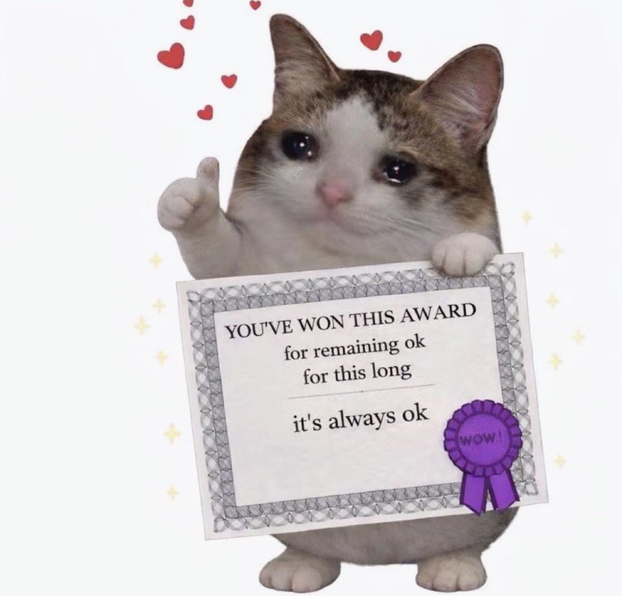OK Cat 2